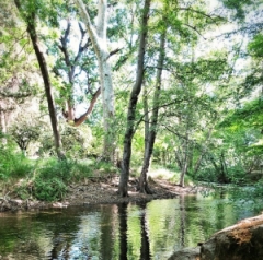 Big Chico Creek