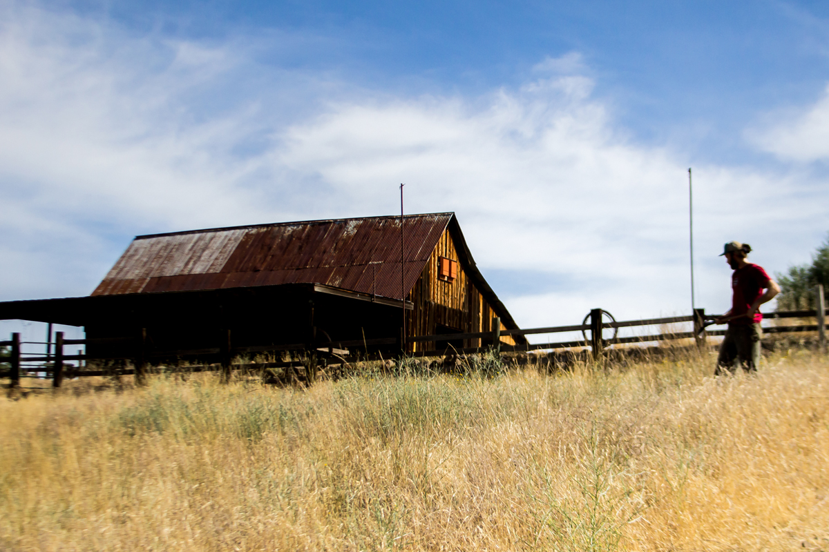 This barn is one of several historical structures on the reserve.